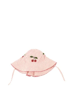Gestreifter Sonnenhut 'Ellie' Multi