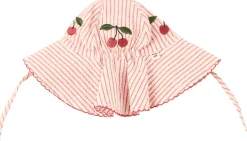 Gestreifter Sonnenhut 'Ellie' Multi