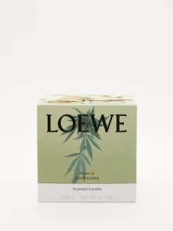 Große Duftkerze 'Marihuana' 2120g