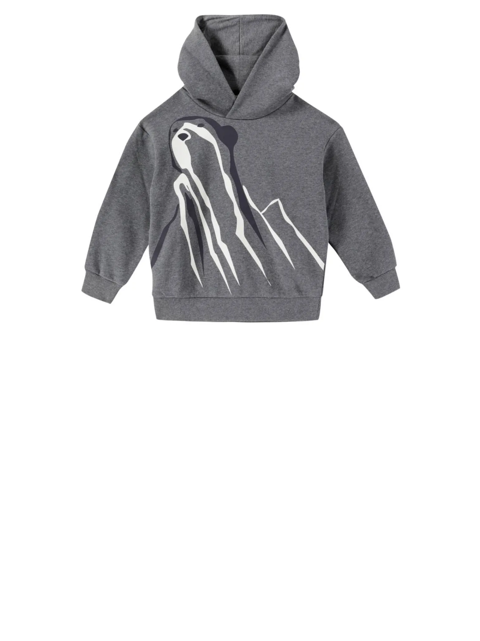 Kapuzenpullover Grau